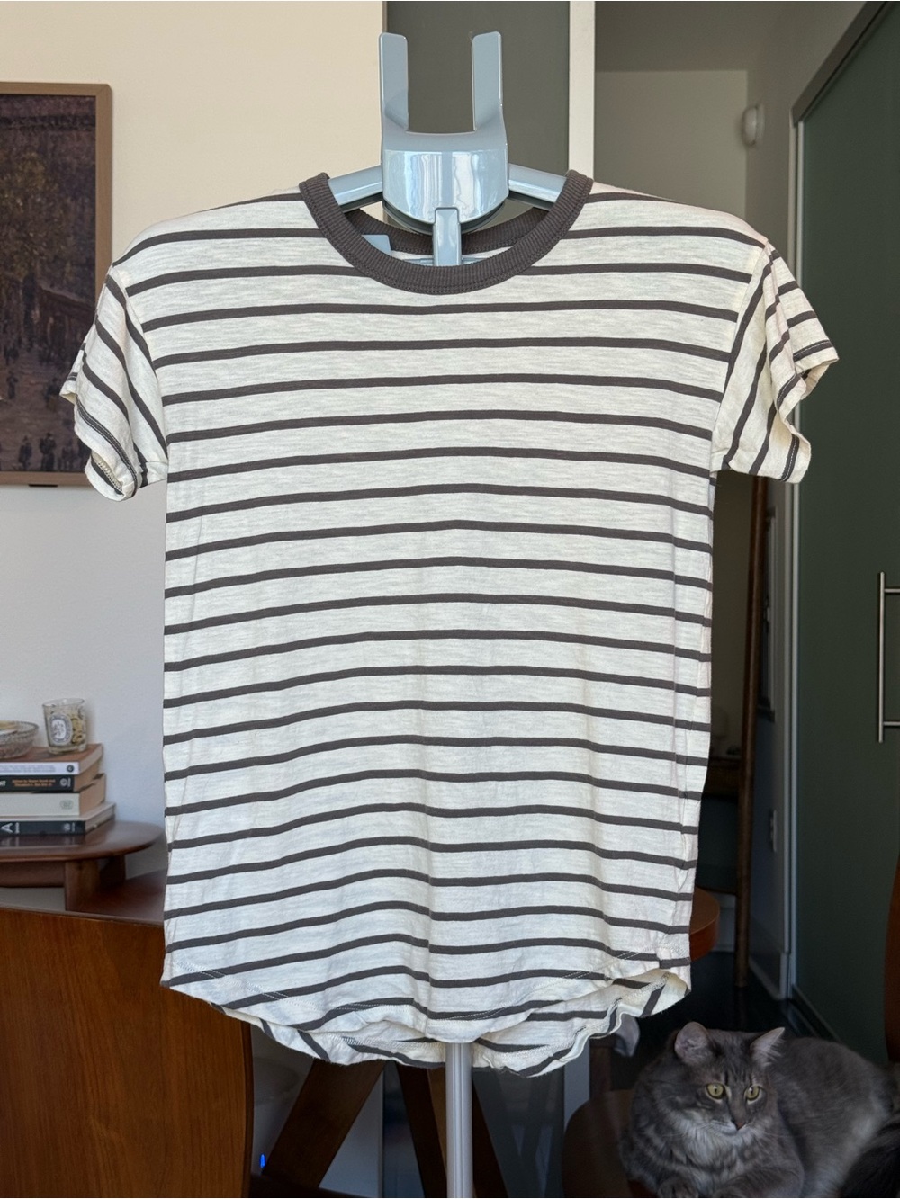 Madewell - Short Sleeve Striped 100% Cotton Tee in Ivory and Brown